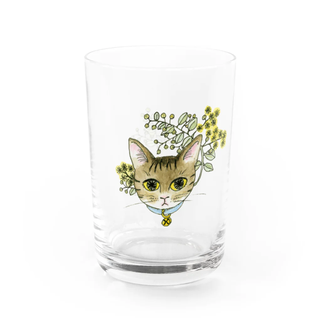 ブリキ屋の猫とパールアカシア2 Water Glass :left