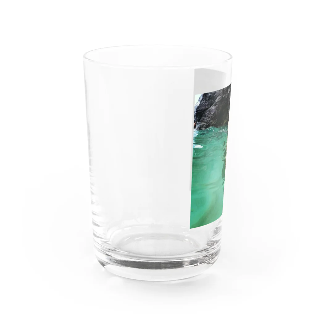 Monokomono+のホノルルホヌ Water Glass :left