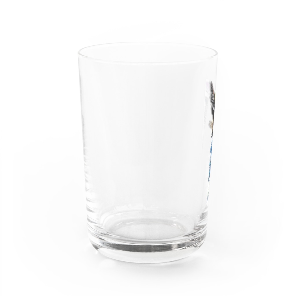 RMk→D (アールエムケード)のアクボクトウセン Water Glass :left
