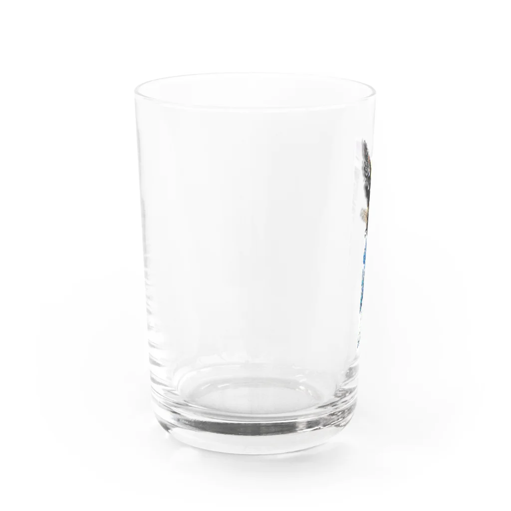 RMk→D (アールエムケード)のアクボクトウセン Water Glass :left