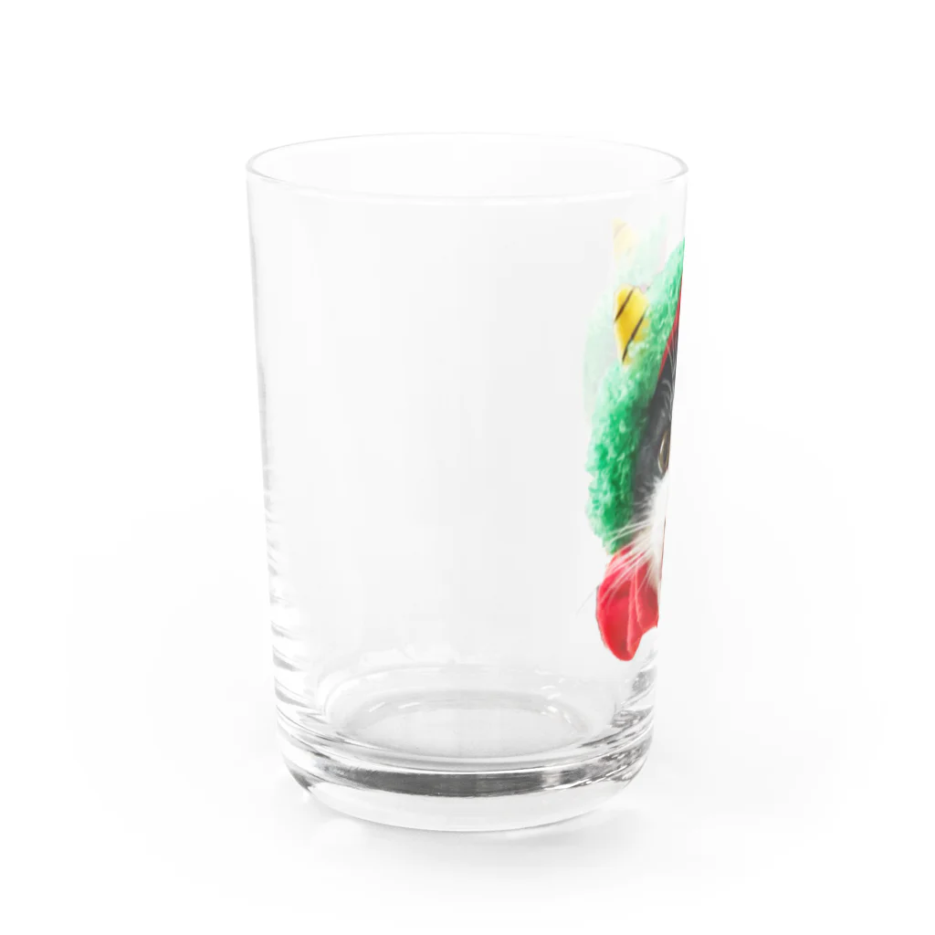 保護猫ベニとハクのベニだっちゃ❗ Water Glass :left