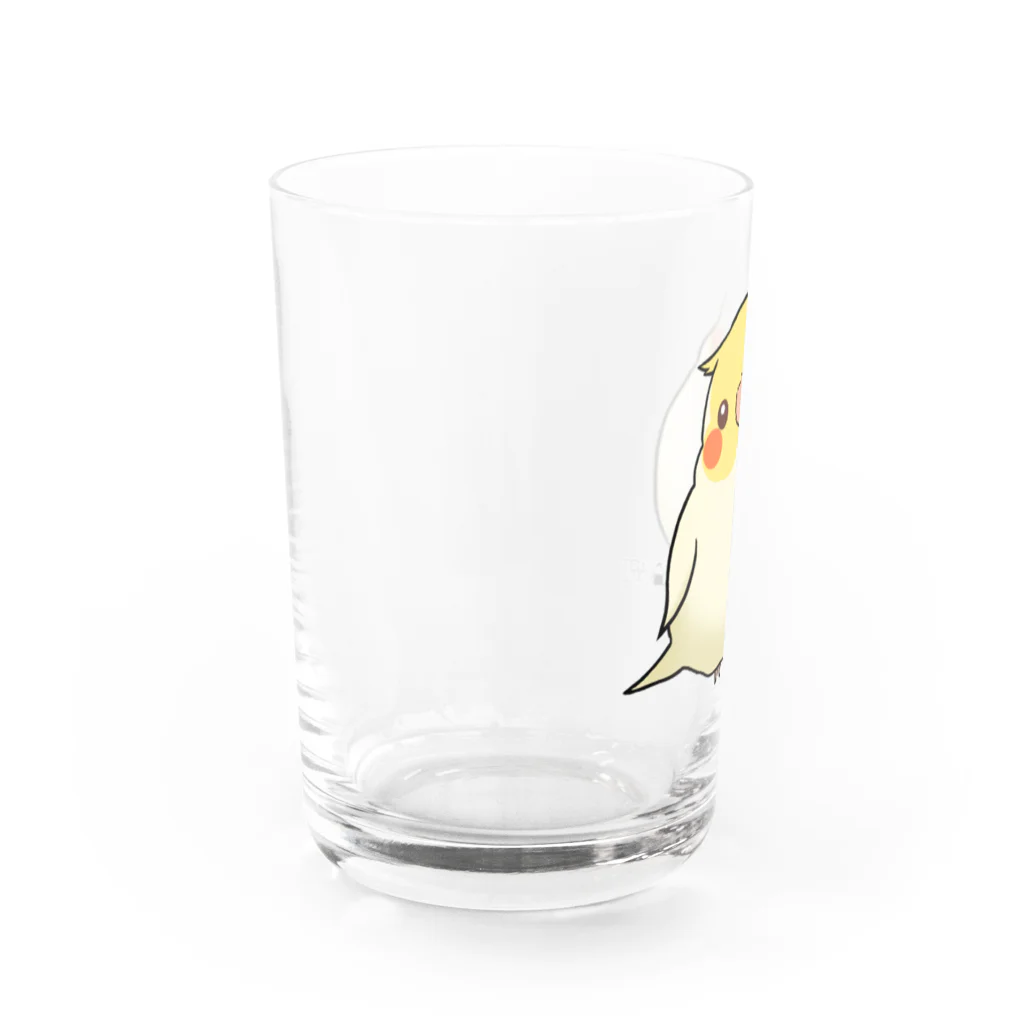 *KAKAPO*の*KAKAPO*のふんわりオカメインコちゃん(るちの) Water Glass :left