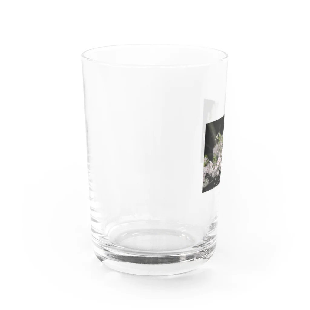 けのさくら Water Glass :left