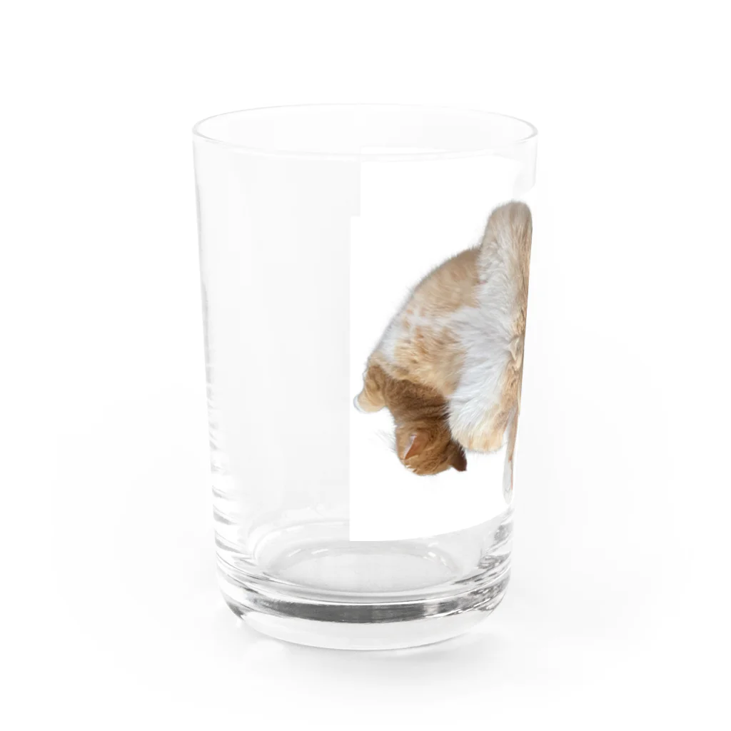 みかんとかぼすのかぼすくつろぎ Water Glass :left