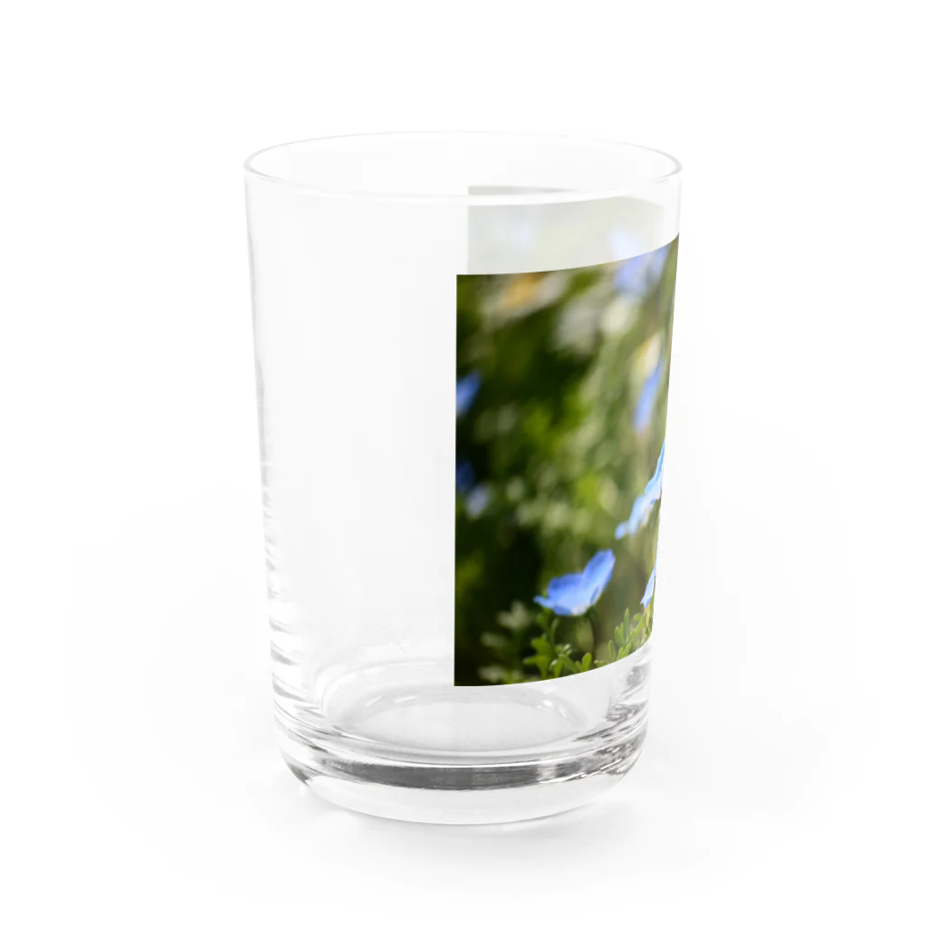 MAI maiのｱｵｲﾊﾅ Water Glass :left