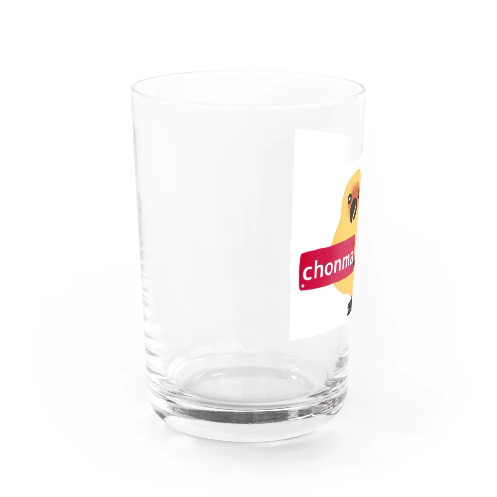 コガネメキシコ　ちょんまさん　chonmaのChonma  Water Glass :left