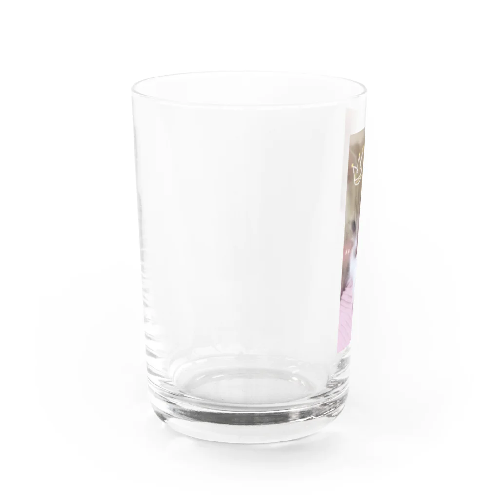 むむ😸🍈(mumu)グッズの茶白猫むむ Water Glass :left