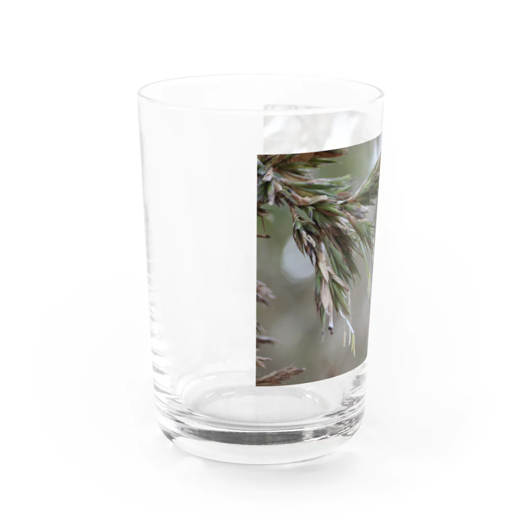 竹のおにいさんの竹ずくし君 Water Glass :left