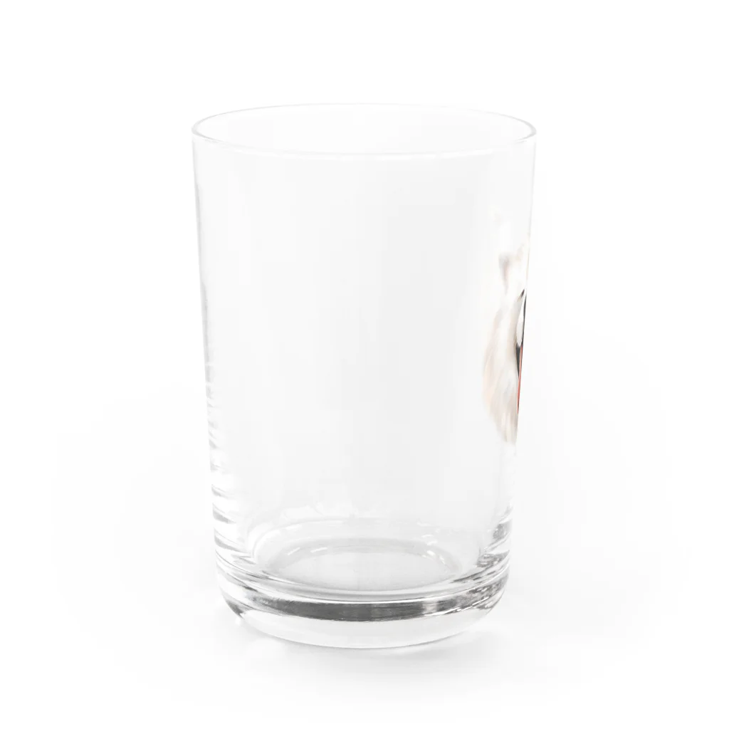 サモエドさくらショップのサモエドさくら（幸せそうな表情） Water Glass :left