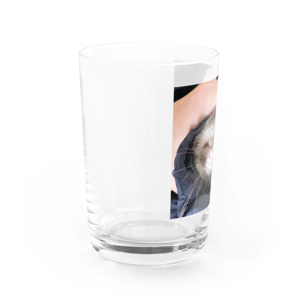 ビッケの部屋のぶさかわビッケ君 Water Glass :left