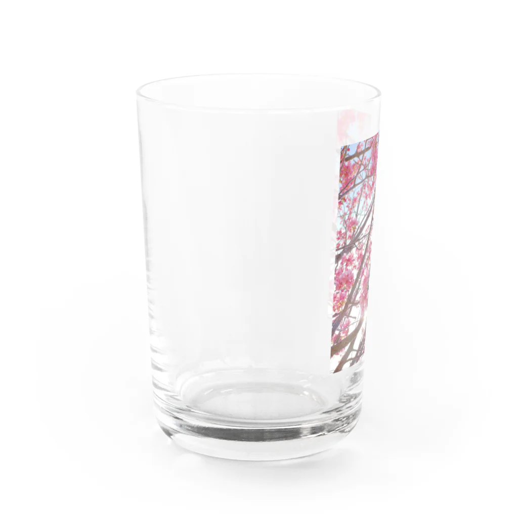 BouquetのSakura Water Glass :left