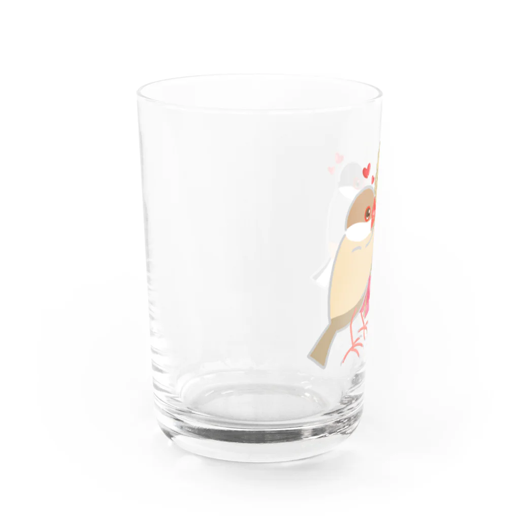 Lily bird（リリーバード）の粟穂をプレゼント シルバー&シナモン文鳥 Water Glass :left