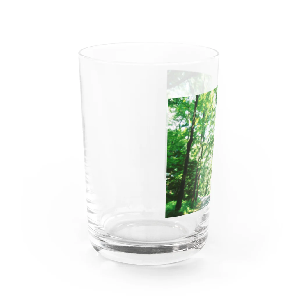 もの大自然 Water Glass :left