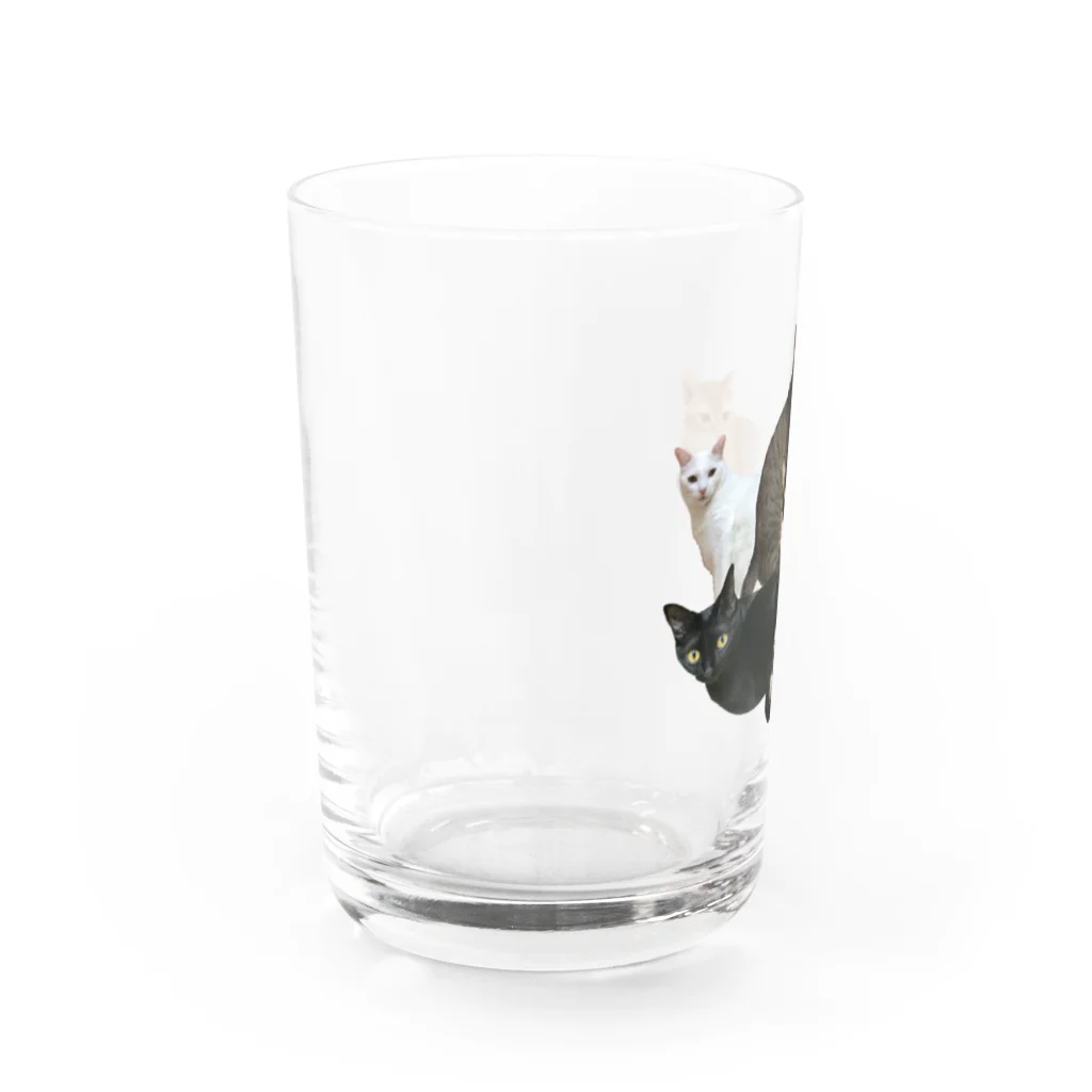 ＭＩＹＡＺＡＫＩの保護にゃんズ Water Glass :left