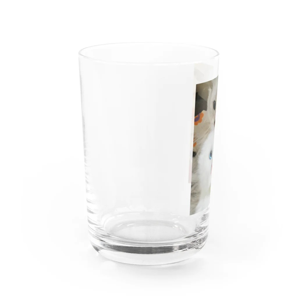 ฅもねฅのらび Water Glass :left