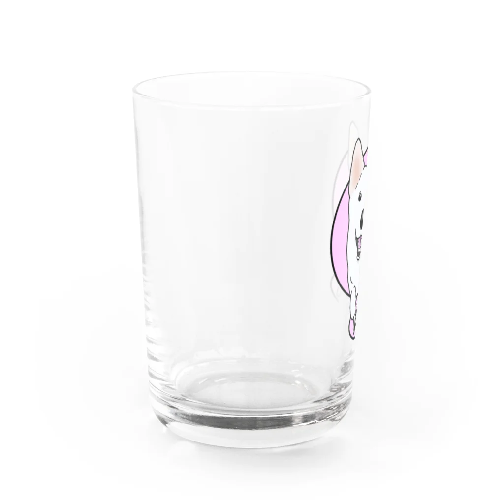 PetTee(ペッティー)のぼあちゃん Water Glass :left