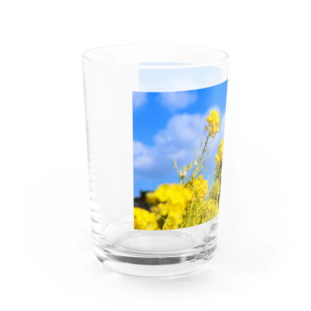 yujisato0514の九州の身近な景色 Water Glass :left