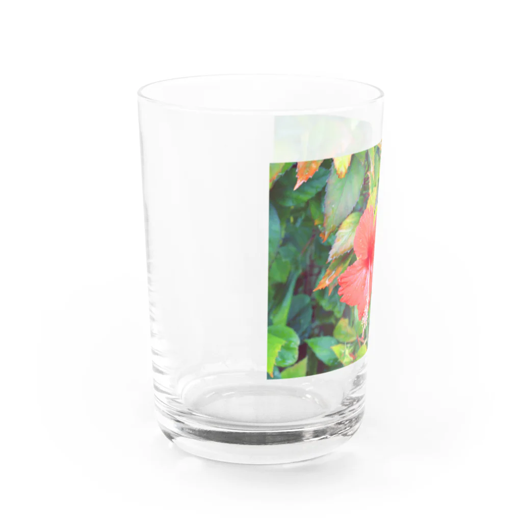 pino子 shopの雨上がりのハイビスカス【風景写真】 Water Glass :left