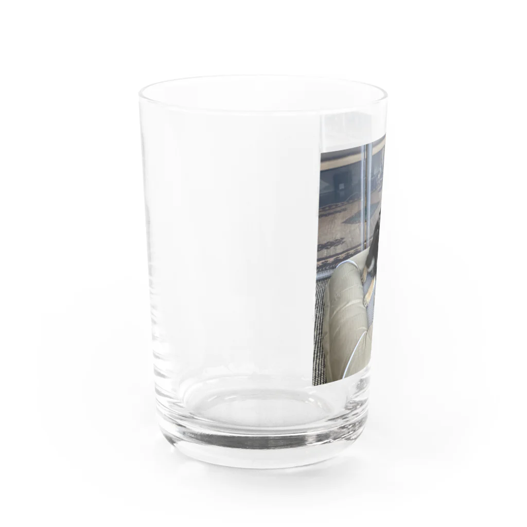 たま子100%のたま子のコップ Water Glass :left