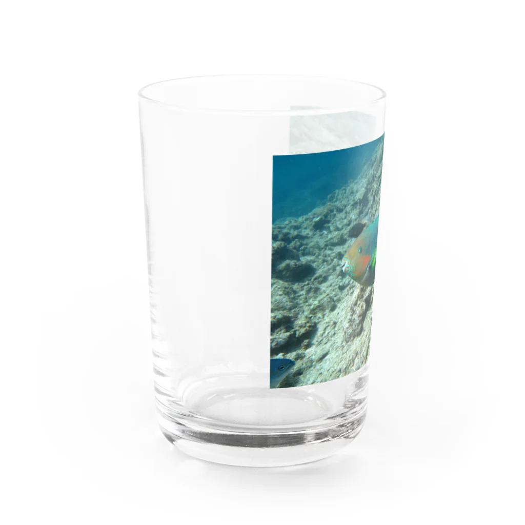 rion02の沖縄　魚T Water Glass :left