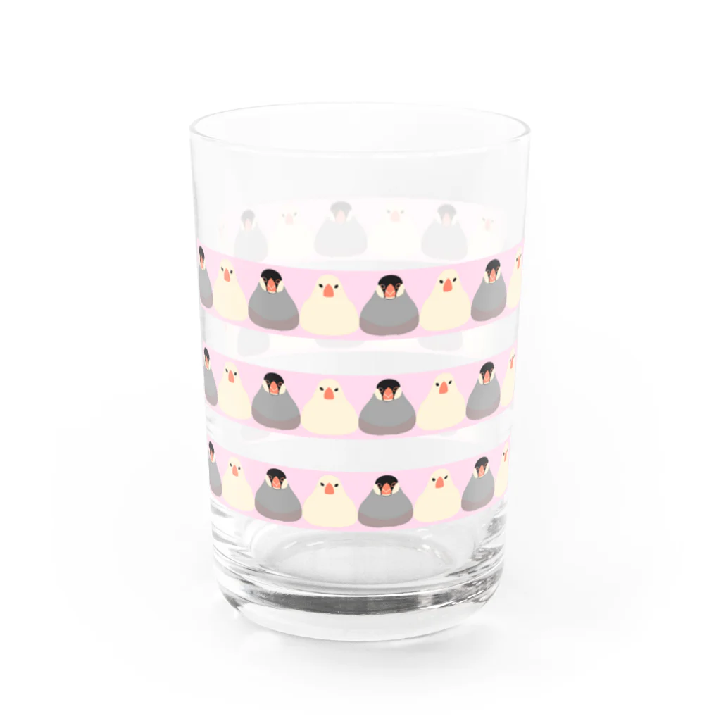 文鳥ちゅんねる【公式グッズストア】の文鳥/桜 Water Glass :left