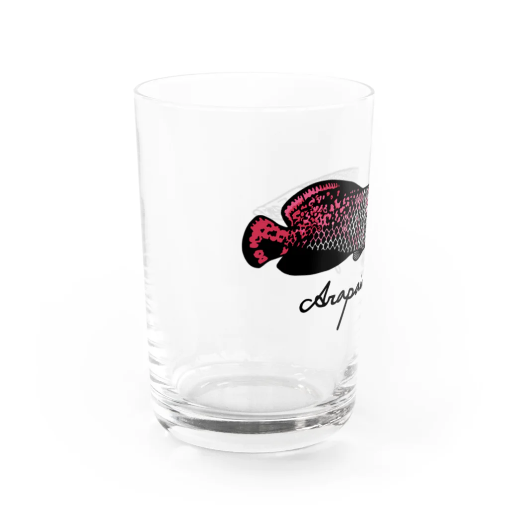Alba spinaのピラルク Water Glass :left