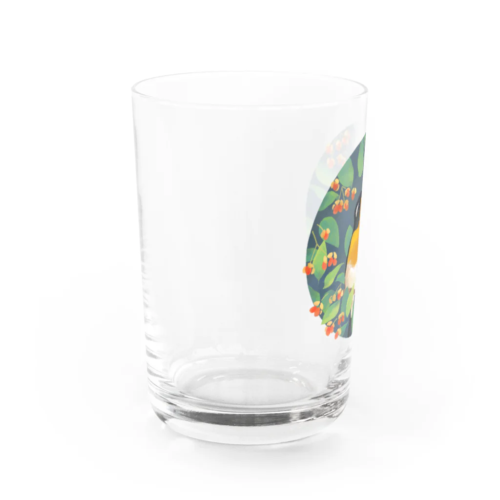 piro piro piccoloのムギマキ Water Glass :left