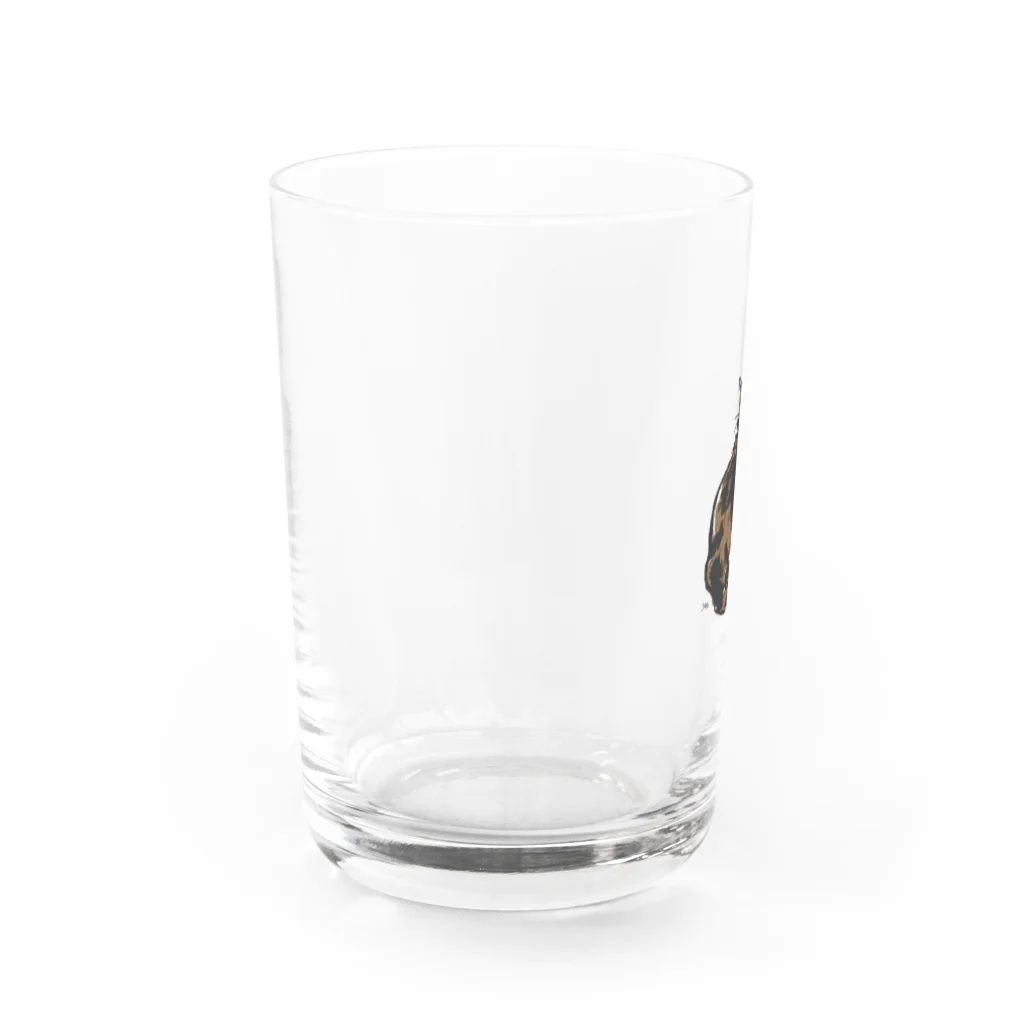 ^‥^ｼｬﾑのそっぽを向く猫 Water Glass :left