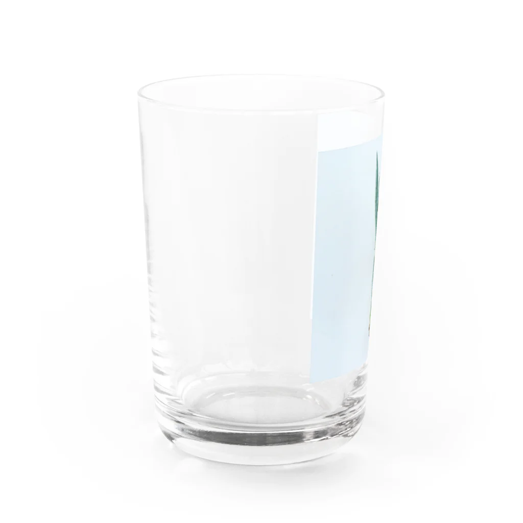 a.c.a.botanicalのカプトメデューサエ Water Glass :left