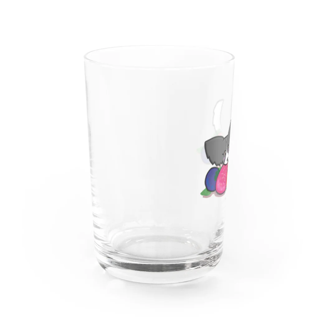 UNA the papillon🎀うなザパピヨンのベリーUNA Water Glass :left