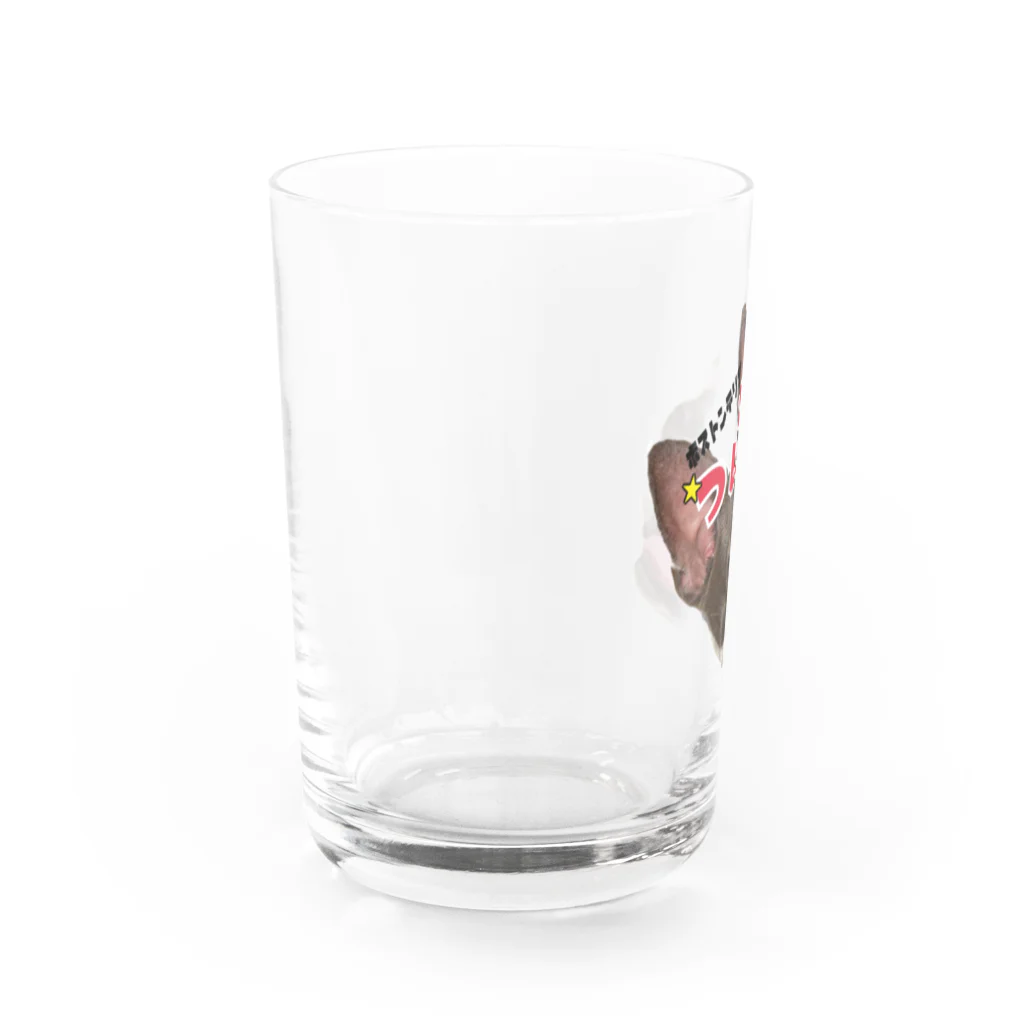 tsukune69のぼすとんてりあのつくね Water Glass :left