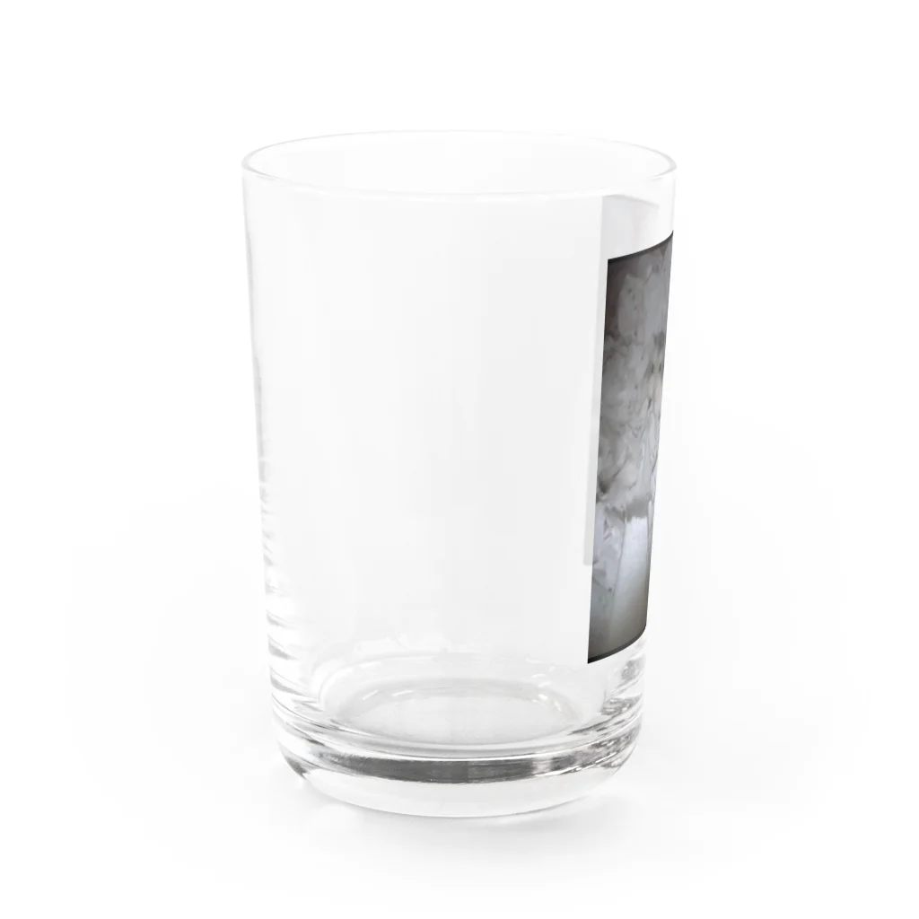 SUMOMOのハムハムハム太郎 Water Glass :left