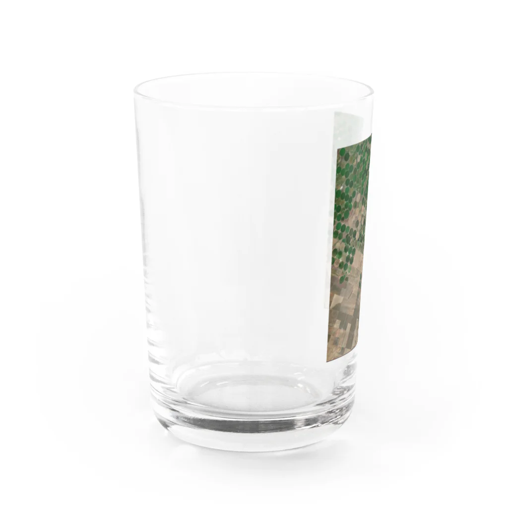 K.G.Bのnojoe Water Glass :left