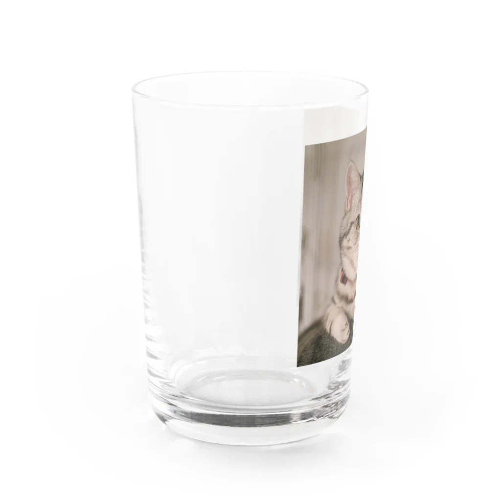 ゆずグッズのくつろぐゆず Water Glass :left