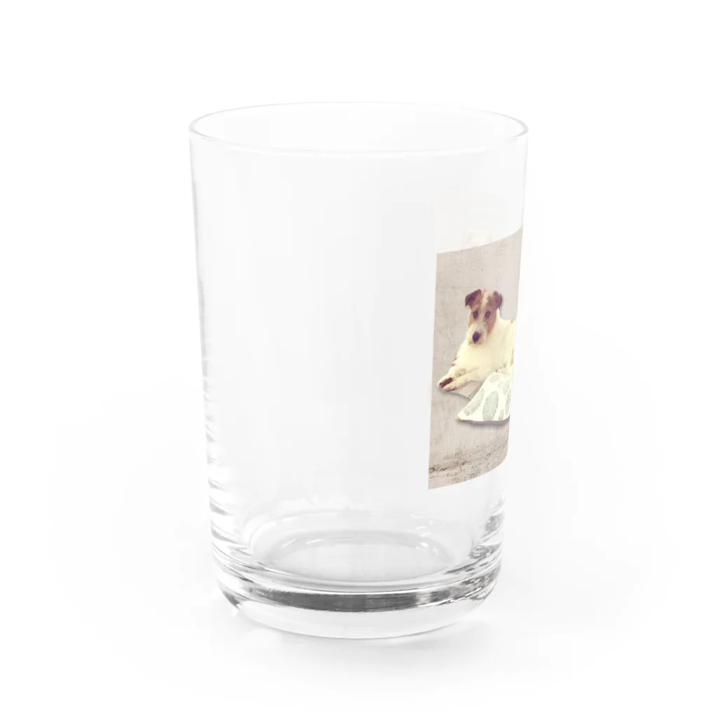 yunoyunojack の座っておすましブラザーズ Water Glass :left