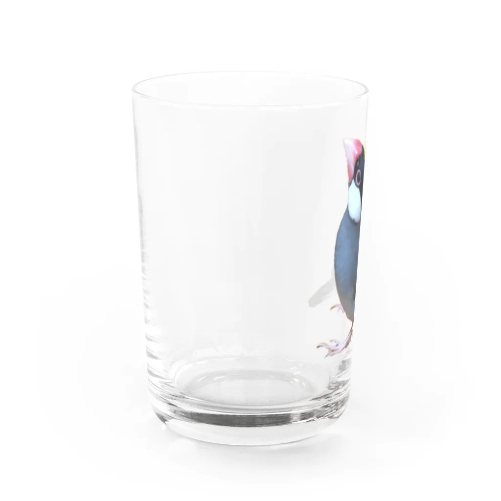 harupink🌸ペット似顔絵illustの文鳥の王様 Water Glass :left