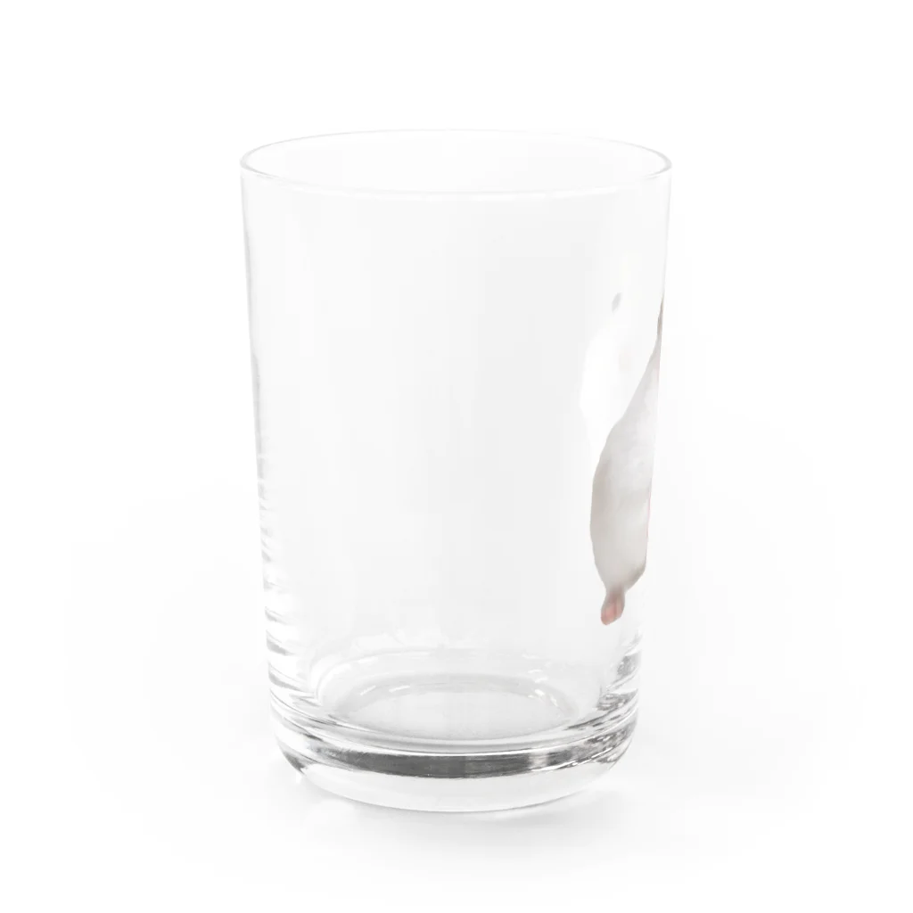 ハムスターといつでも一緒★のハムスター Water Glass :left