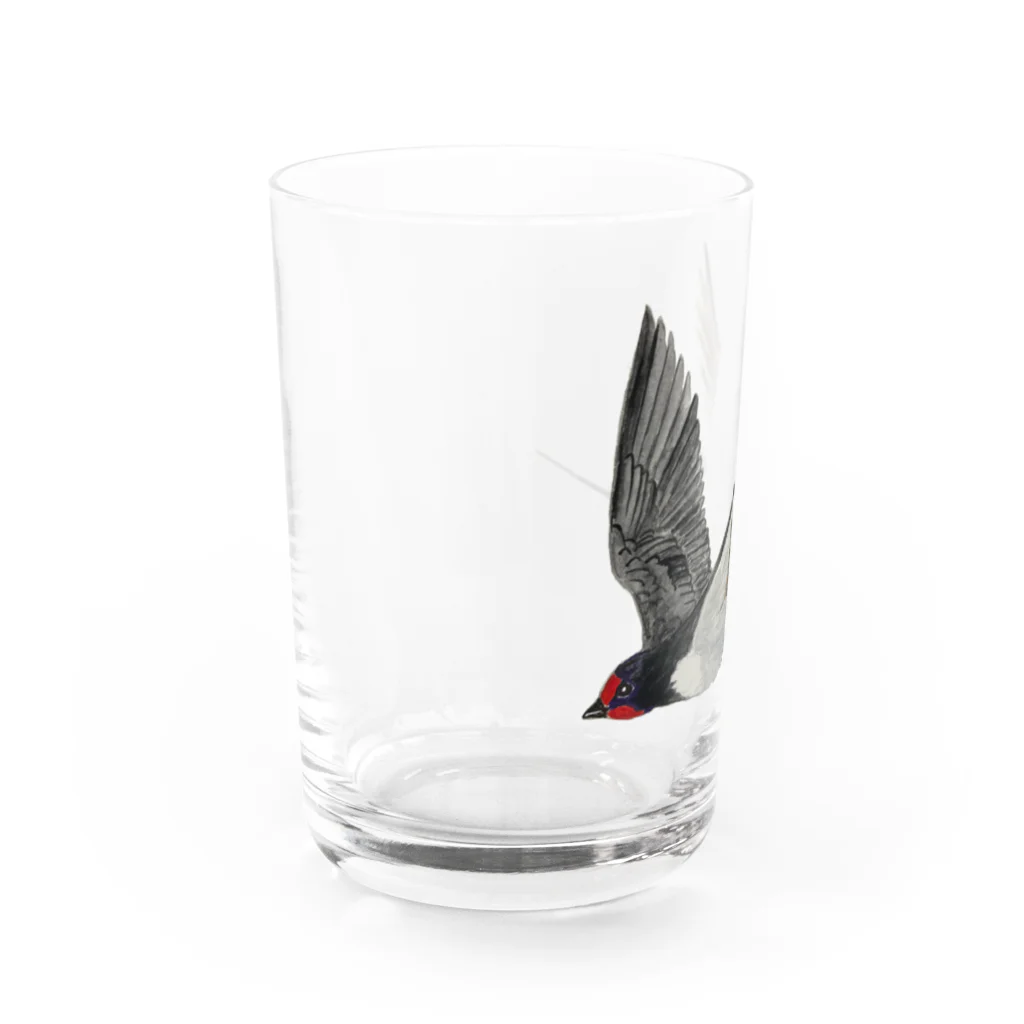 Coshi-Mild-Wildのツバメ Water Glass :left