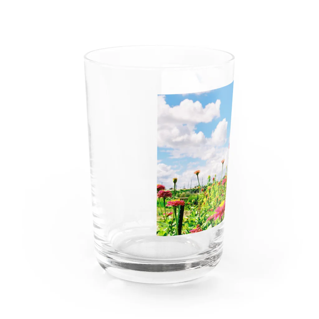 Oli22のPEACE Water Glass :left