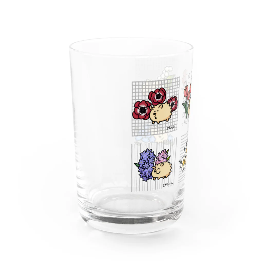 まつぼっくりの春の花 Water Glass :left