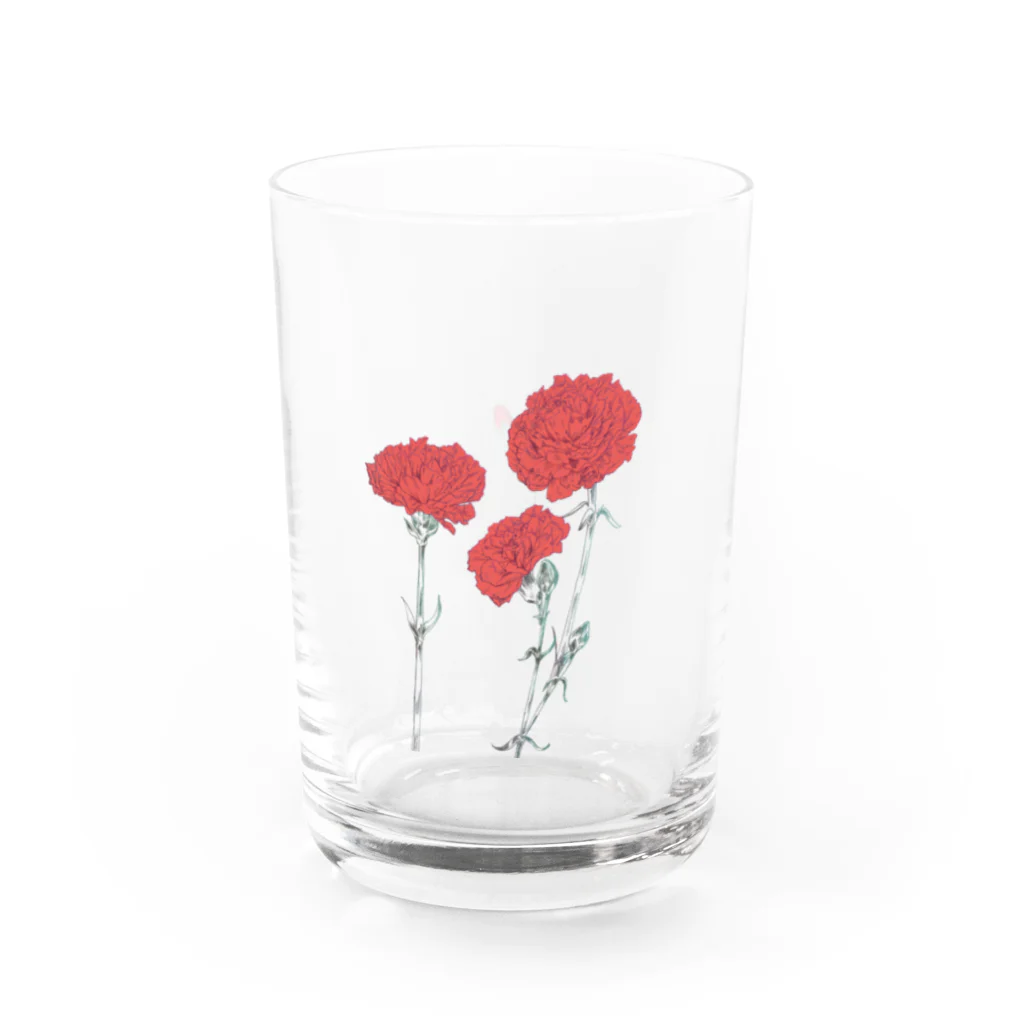 すみわたるのカーネーション　aka Water Glass :left