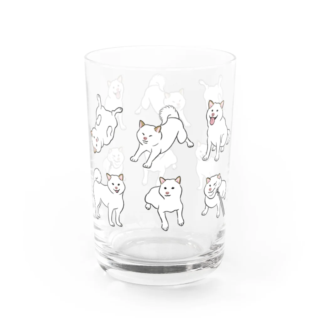 chippokeの白柴いろいろ Water Glass :left