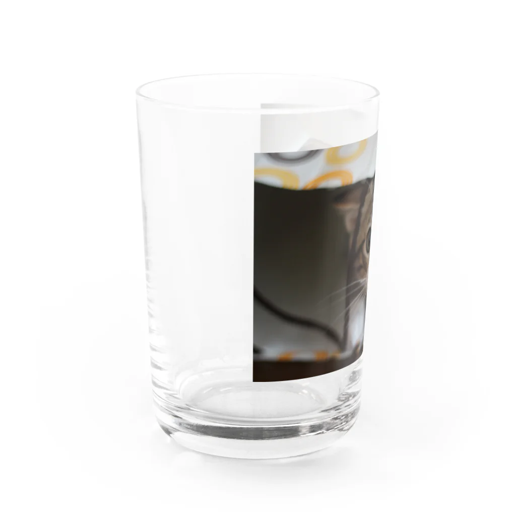 Honey.coのコロくん Water Glass :left