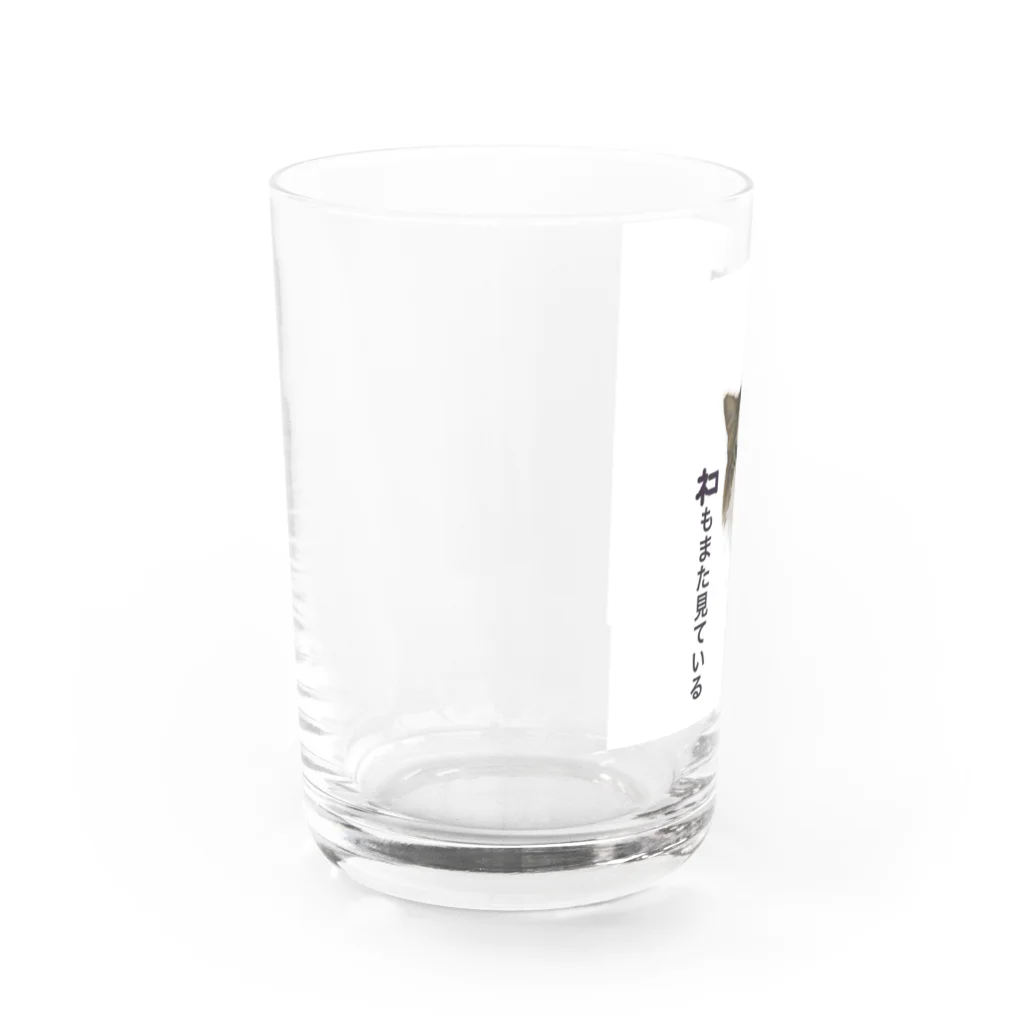 colorisのネコが見ている時… Water Glass :left