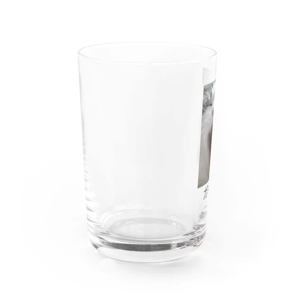 colorisのガオーネコ Water Glass :left