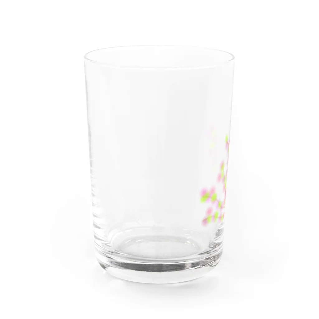 タンポポの葉桜 Water Glass :left