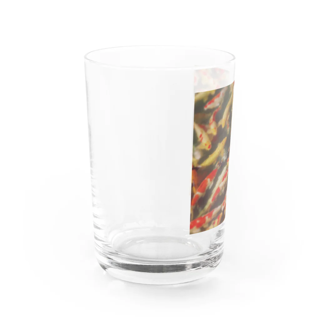 FumiProgrammerの鯉 Water Glass :left