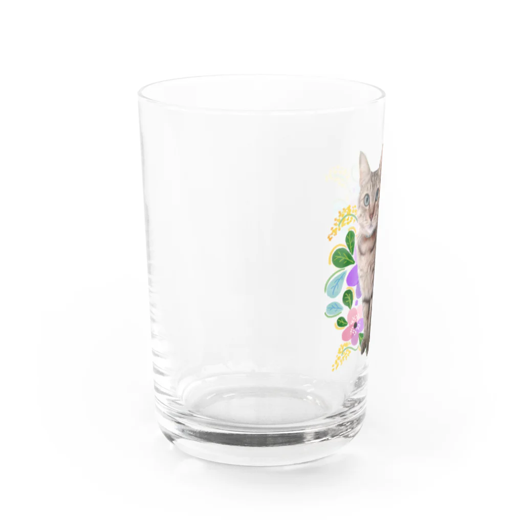 棕櫚竹工房の華やかなニャンコ Water Glass :left