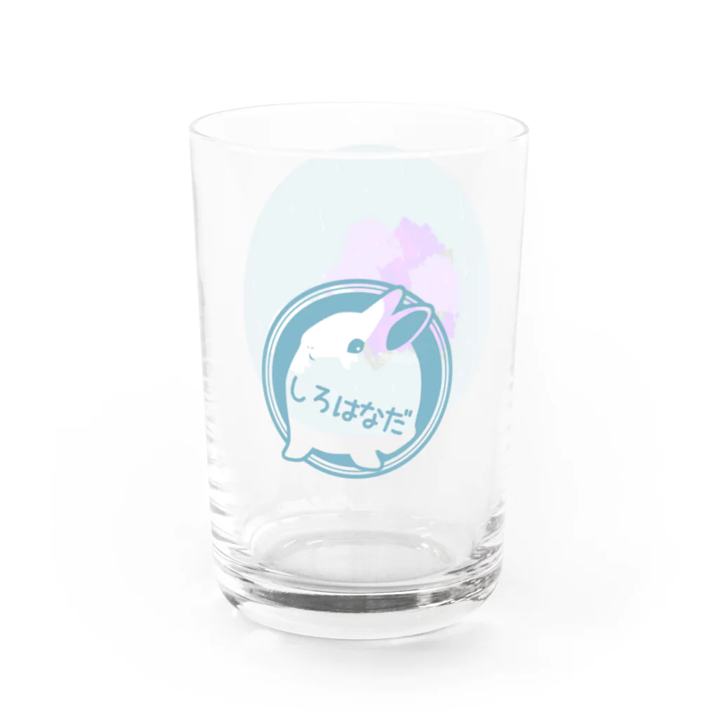 しろはなだの初めてのアジサイ カラー Water Glass :left