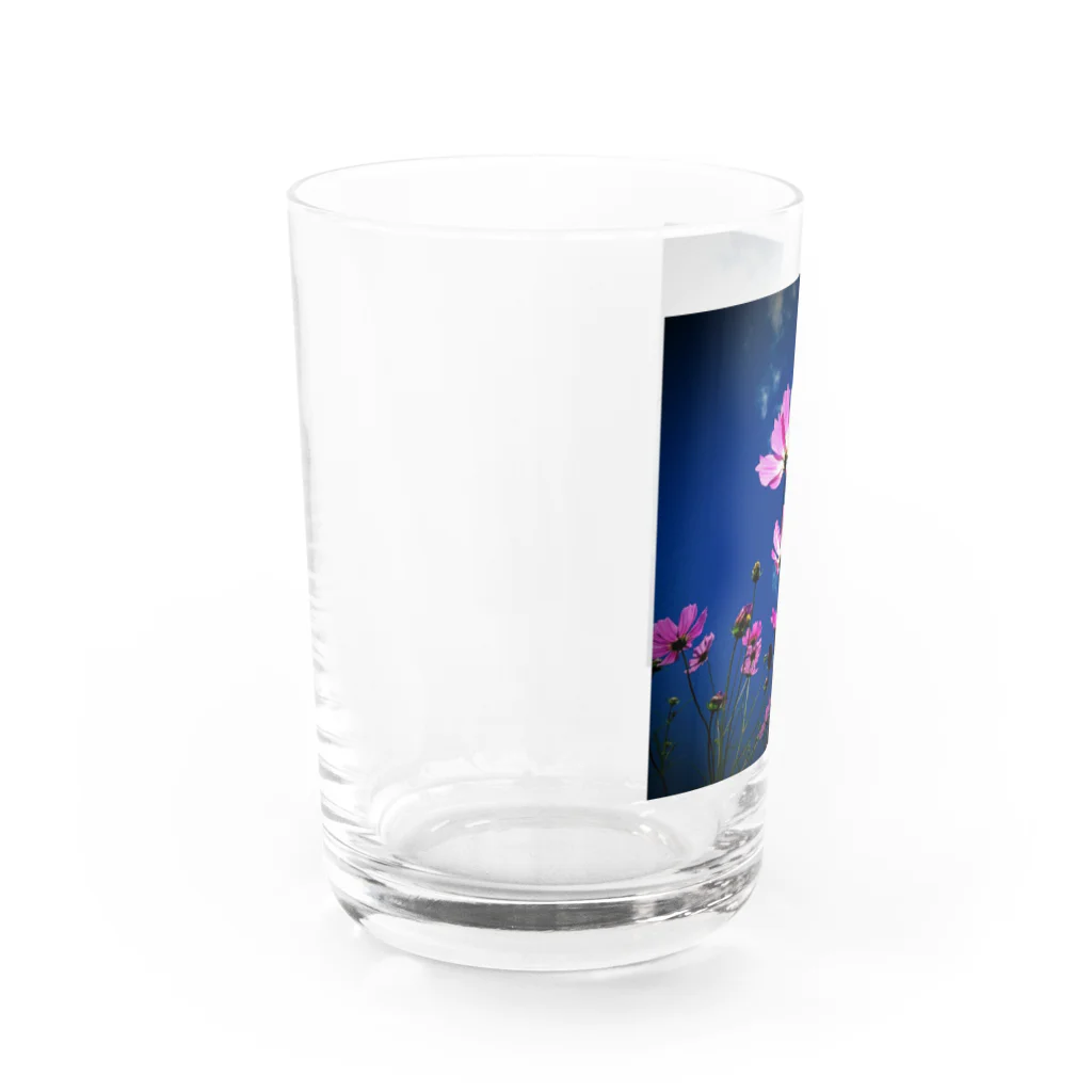 幸せをひっかけるかぎしっぽの空とコスモス Water Glass :left